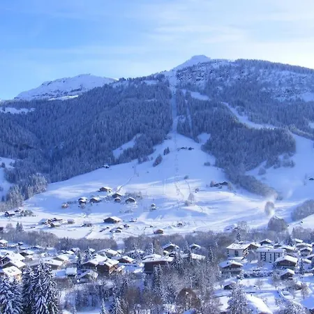 Ideal Pour Famille. Appartement Praz-sur-Arly