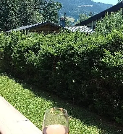 Ideal Pour Famille. * Praz-sur-Arly